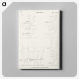 1-89_Monuments-of-Egypt-and-Nubia_canvas