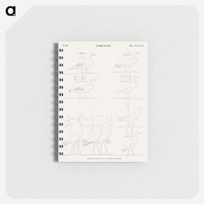 1-89_Monuments-of-Egypt-and-Nubia_memo
