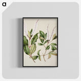 1-89_Native-Flowering-Plants-of-New-Zealand_blk-crop