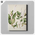 1-89_Native-Flowering-Plants-of-New-Zealand_canvas