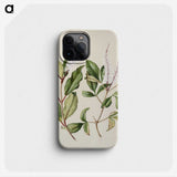 1-89_Native-Flowering-Plants-of-New-Zealand_phone