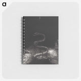 1-89_Odilon-Redon_memo