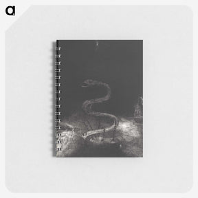 1-89_Odilon-Redon_memo