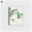 アートメモ帳-Barbary Dove and Oak Tree
 - 鳥類図鑑 Memo.