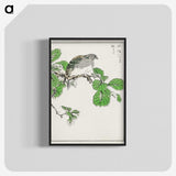 1-89_Pictorial-Monograph-of-Birds_blk-crop
