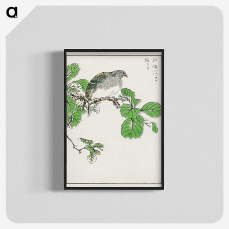 1-89_Pictorial-Monograph-of-Birds_blk-crop