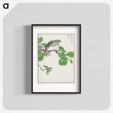 1-89_Pictorial-Monograph-of-Birds_blk