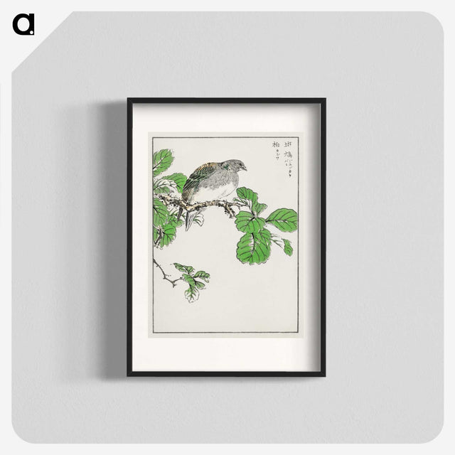 1-89_Pictorial-Monograph-of-Birds_blk