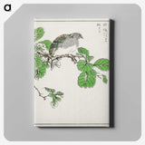 1-89_Pictorial-Monograph-of-Birds_canvas