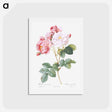 アートポストカード-Rosa × damascena, Rosebush - ピエール ジョゼフ ルドゥーテ Postcard.