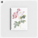 1-89_Pierre-Joseph-Redoute_memo