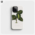 1-89_Plants-with-Colored-Foliage_phone