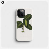 1-89_Plants-with-Colored-Foliage_phone
