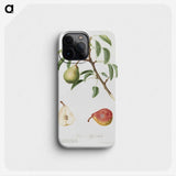 1-89_Pomona-Italiana_phone