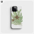 1-89_Robert-Jacob-Gordon_phone