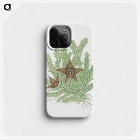 1-89_Robert-Jacob-Gordon_phone