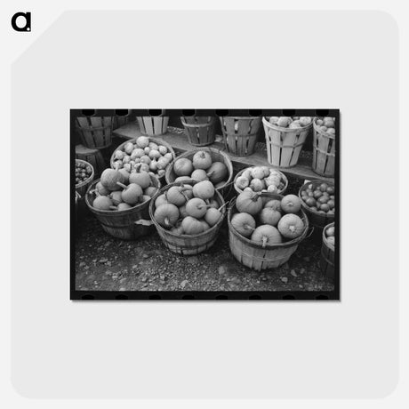 アートポストカード-Pumpkins and Turnips
 - ラッセル リー Postcard.