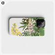 1-89_Seiyo-Soka-Zufu_phone