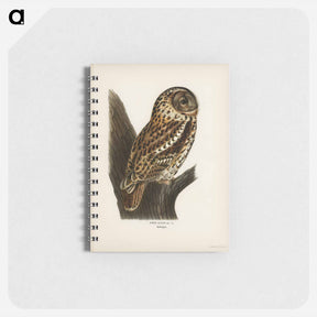 アートメモ帳-Tawny Owl
 - スヴェンスカ フォグラル Memo.