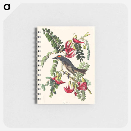 アートメモ帳-Piping Flycatcher from Birds of America
 - アメリカの鳥たち Memo.