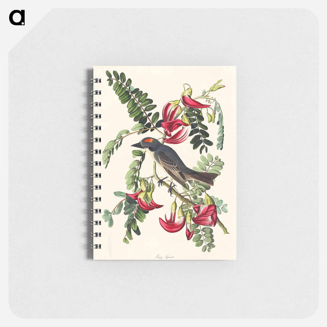アートメモ帳-Piping Flycatcher from Birds of America
 - アメリカの鳥たち Memo.
