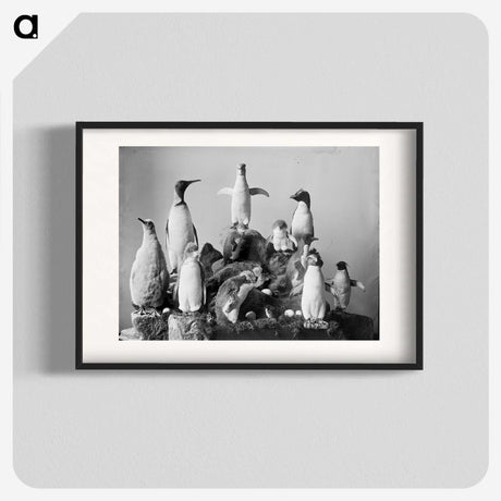 1-89_The-Burton-Brothers_blk