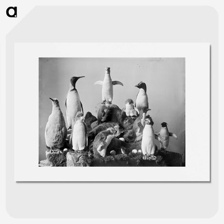 1-89_The-Burton-Brothers_picture
