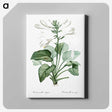 1-89_The-Lilies_canvas