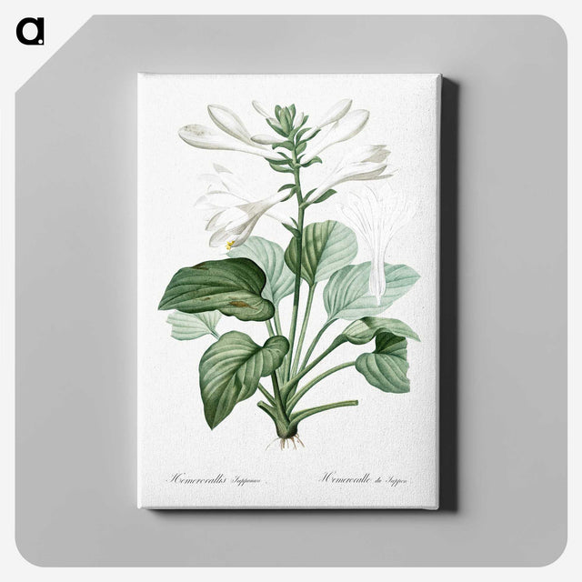 1-89_The-Lilies_canvas