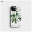 1-89_The-Lilies_phone