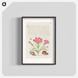 アートポスター-Insect, Sweet William, Spider, Marine Mollusk, and Eye of Santa Lucia
 - 書道のお手本 Poster.