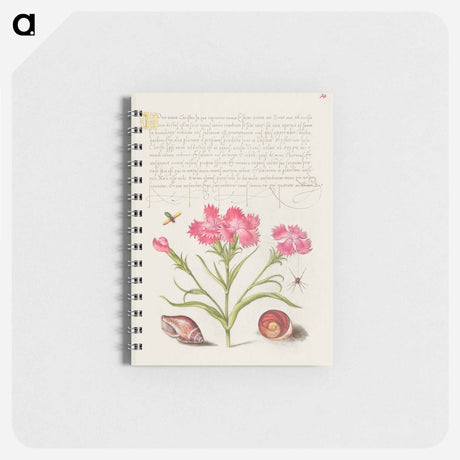 アートメモ帳-Insect, Sweet William, Spider, Marine Mollusk, and Eye of Santa Lucia
 - 書道のお手本 Memo.