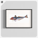 1-89_The-Natural-History-of-British-Fishes_blk
