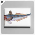 1-89_The-Natural-History-of-British-Fishes_canvas