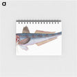1-89_The-Natural-History-of-British-Fishes_memo