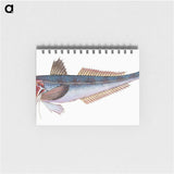 1-89_The-Natural-History-of-British-Fishes_memo
