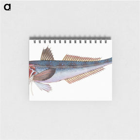 1-89_The-Natural-History-of-British-Fishes_memo