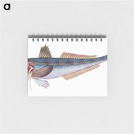 1-89_The-Natural-History-of-British-Fishes_memo