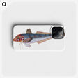 1-89_The-Natural-History-of-British-Fishes_phone