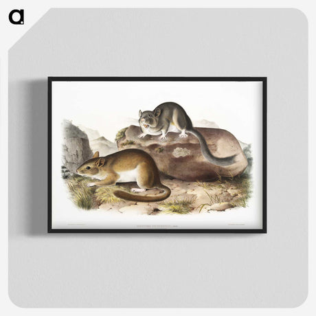 1-89_The-Viviparous-Quadrupeds_blk-crop