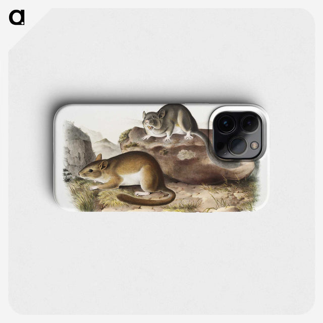 1-89_The-Viviparous-Quadrupeds_phone
