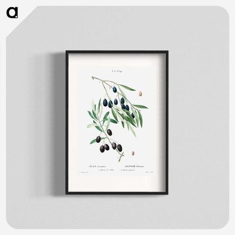 1-89_Treatise-on-Trees-and-Shrubs_blk