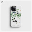 1-89_Treatise-on-Trees-and-Shrubs_phone