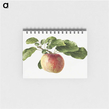 1-89_USDA-Watercolor-Fruit-Painting-Collection_memo
