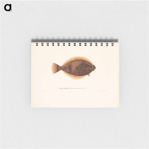 Dab - ヴィルヘルム フォン ライト Memo.