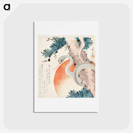 アートポストカード-Snake coiled around a pine tree
 - イェール大学アートギャラリー Postcard.