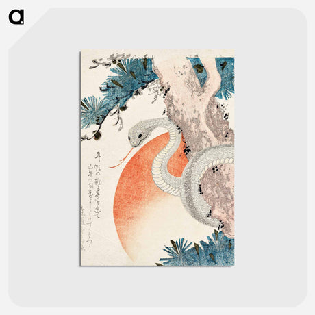 アートポストカード-Snake coiled around a pine tree
 - イェール大学アートギャラリー Postcard.