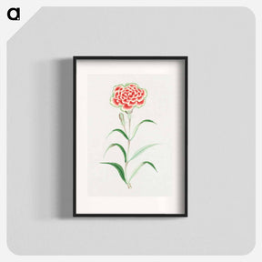 アートポスター-Nadeshiko - 19世紀の日本の花 Poster.
