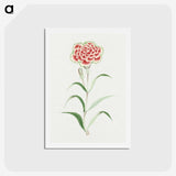 1-8_19th-Century-Japanese-Flowers_hagaki