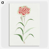 1-8_19th-Century-Japanese-Flowers_picture-crop